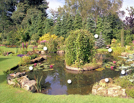natural-pond-design-40_14 Естествен дизайн на езерце