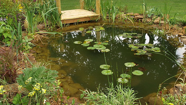 natural-pond-design-40_6 Естествен дизайн на езерце