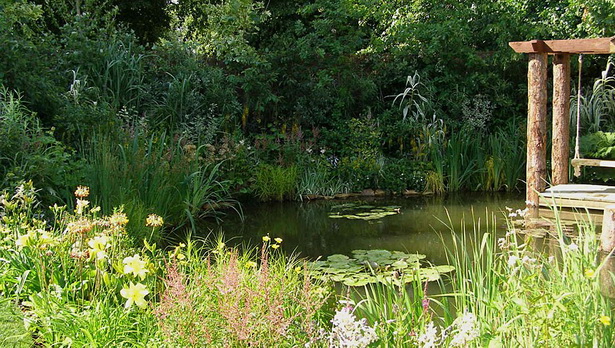 natural-pond-27_7 Естествено езеро
