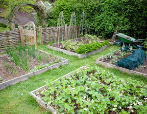 Идеи за органичен дизайн на градината