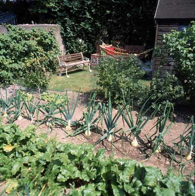 organic-garden-design-ideas-81_15 Идеи за органичен дизайн на градината