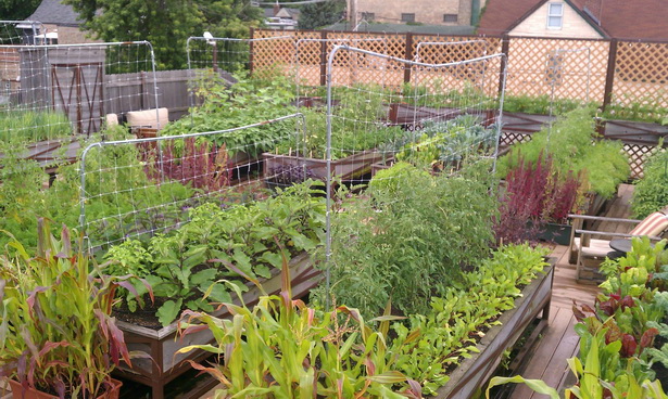 organic-garden-design-ideas-81_9 Идеи за органичен дизайн на градината