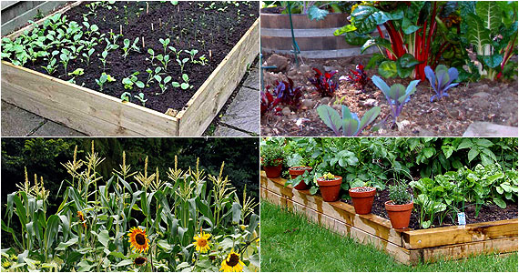 organic-gardening-54_10 Органично градинарство