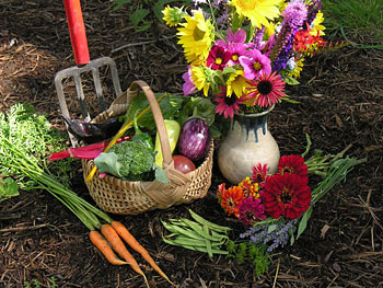 organic-gardening-54_9 Органично градинарство