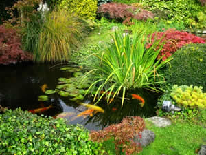 ornamental-garden-ponds-16_5 Декоративни градински езера
