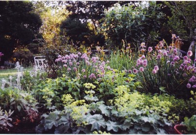ornamental-herb-garden-88_5 Декоративна билкова градина