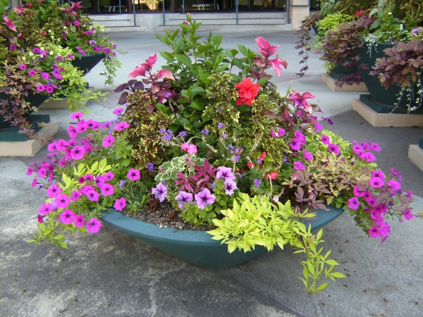 outdoor-flower-arrangements-ideas-34_16 Идеи за цветни аранжировки на открито