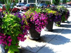 outdoor-flower-planter-ideas-11_2 Открит цвете плантатор идеи