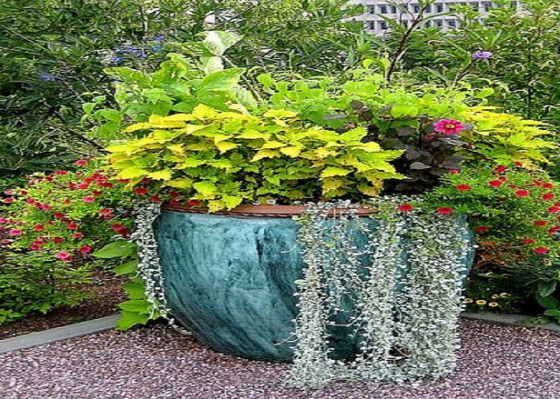 outdoor-flower-planter-ideas-11_6 Открит цвете плантатор идеи