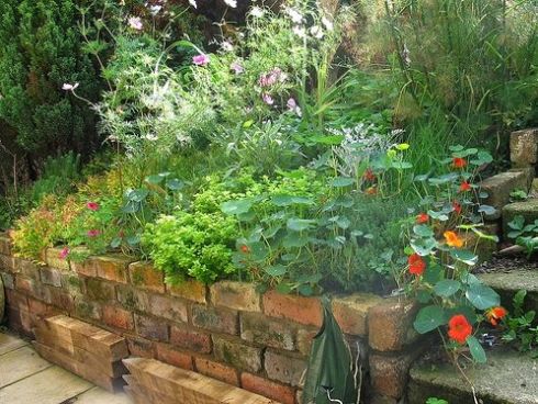 outdoor-herb-garden-design-13 Открит билкова градина дизайн