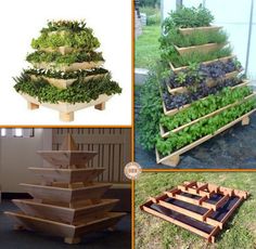 outdoor-herb-garden-ideas-61_13 Открит билкова градина идеи