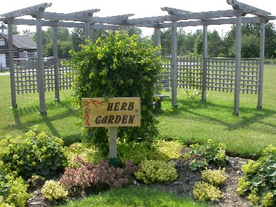 outdoor-herb-garden-11_12 Открит билкова градина