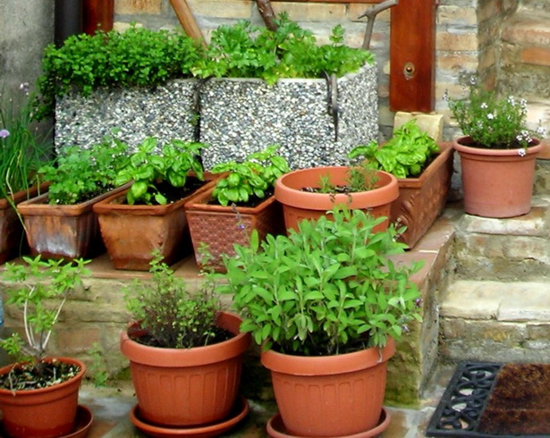 outdoor-herb-gardens-22_15 Открити билкови градини