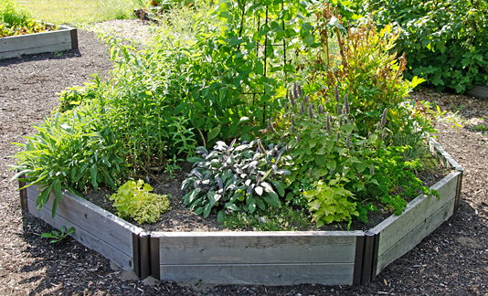 outdoor-herb-gardens-22_3 Открити билкови градини