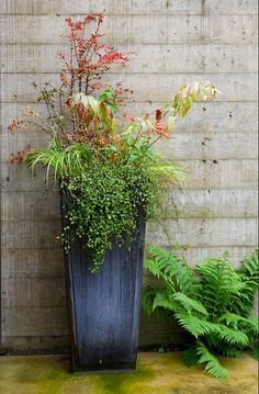 outdoor-patio-planter-ideas-96_5 Открит вътрешен двор плантатор идеи