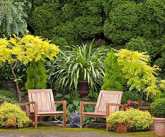 outdoor-patio-plants-91_14 Открит вътрешен двор растения