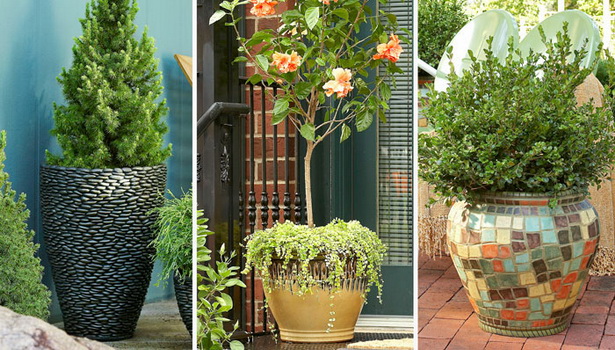 outdoor-patio-plants-91_15 Открит вътрешен двор растения