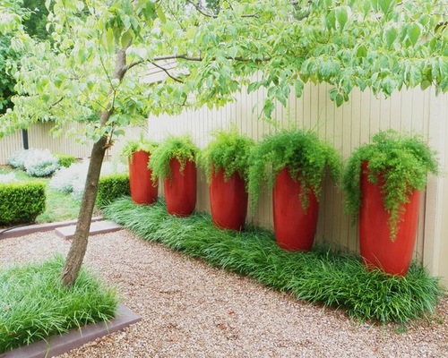 outdoor-patio-plants-91_5 Открит вътрешен двор растения