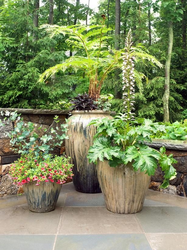 outdoor-patio-plants-91_6 Открит вътрешен двор растения