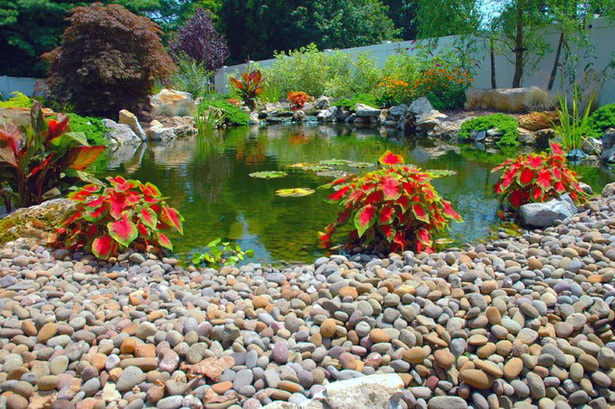 outdoor-pond-supplies-90_10 Външни езерце консумативи