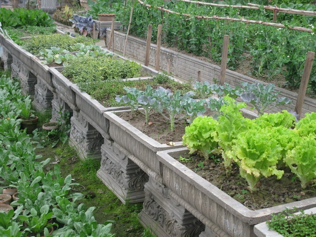 outdoor-vegetable-garden-ideas-33_10 Идеи за зеленчукова градина На открито