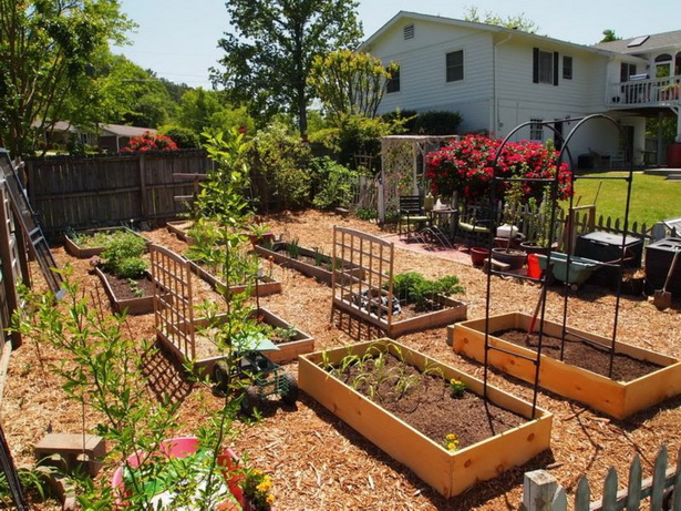 outdoor-vegetable-garden-ideas-33_4 Идеи за зеленчукова градина На открито