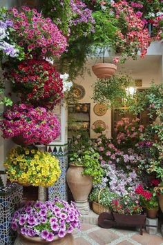 Идеи за външна цветна градина