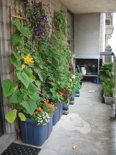 patio-container-garden-ideas-90_10 Вътрешен двор контейнер градински идеи