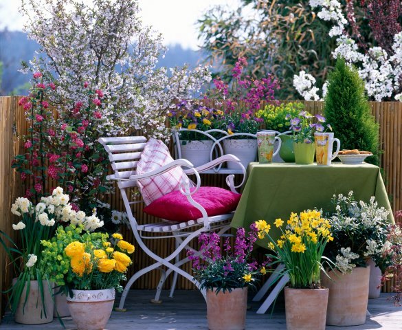 patio-flower-ideas-76_4 Вътрешен двор цветя Идеи