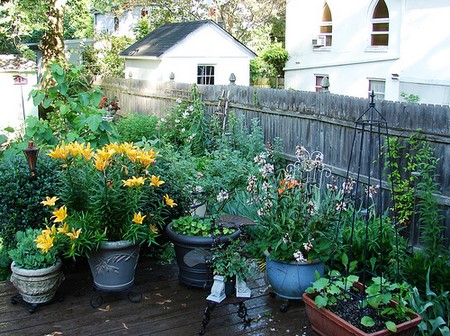 Вътрешен двор градински растения