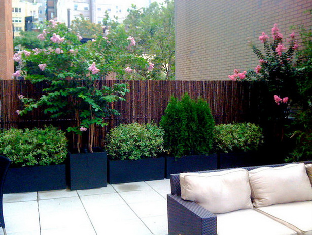 patio-garden-plants-27_4 Вътрешен двор градински растения