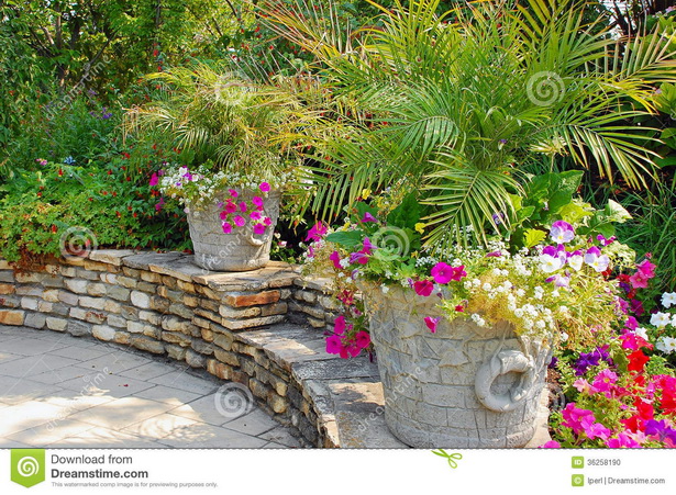 patio-garden-plants-27_9 Вътрешен двор градински растения