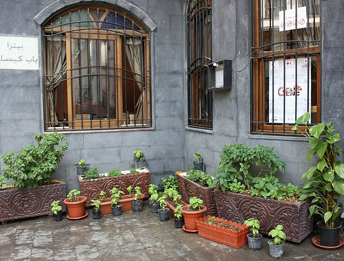patio-herb-garden-containers-12_11 Вътрешен двор билкова градина контейнери