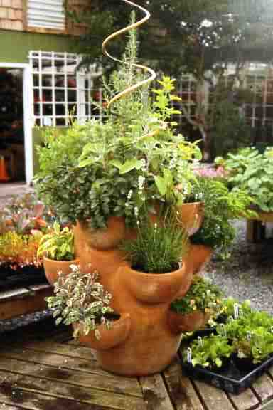 patio-herb-garden-containers-12_12 Вътрешен двор билкова градина контейнери