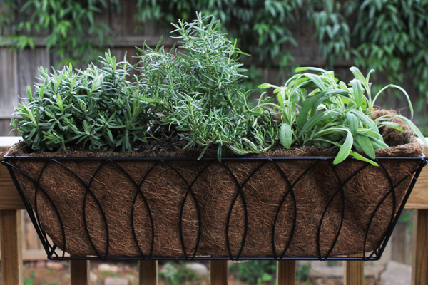 patio-herb-garden-containers-12_16 Вътрешен двор билкова градина контейнери