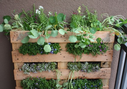 patio-herb-garden-ideas-60_13 Вътрешен двор билкова градина идеи