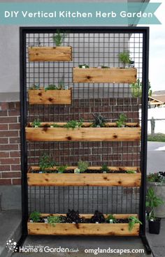 patio-herb-garden-ideas-60_5 Вътрешен двор билкова градина идеи
