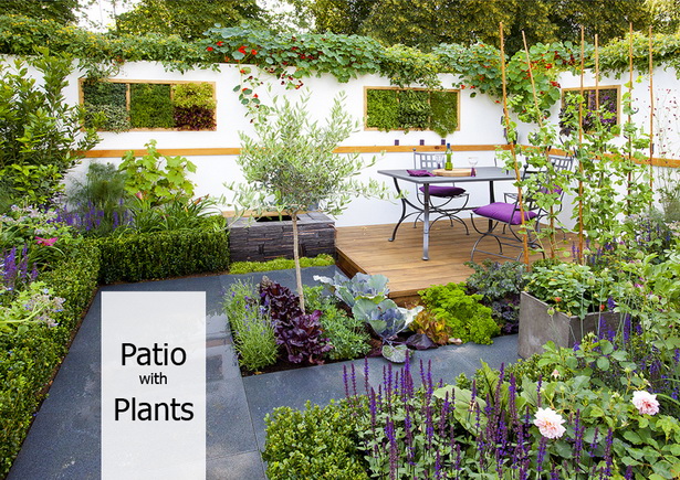 patio-plants-85_11 Патио растения