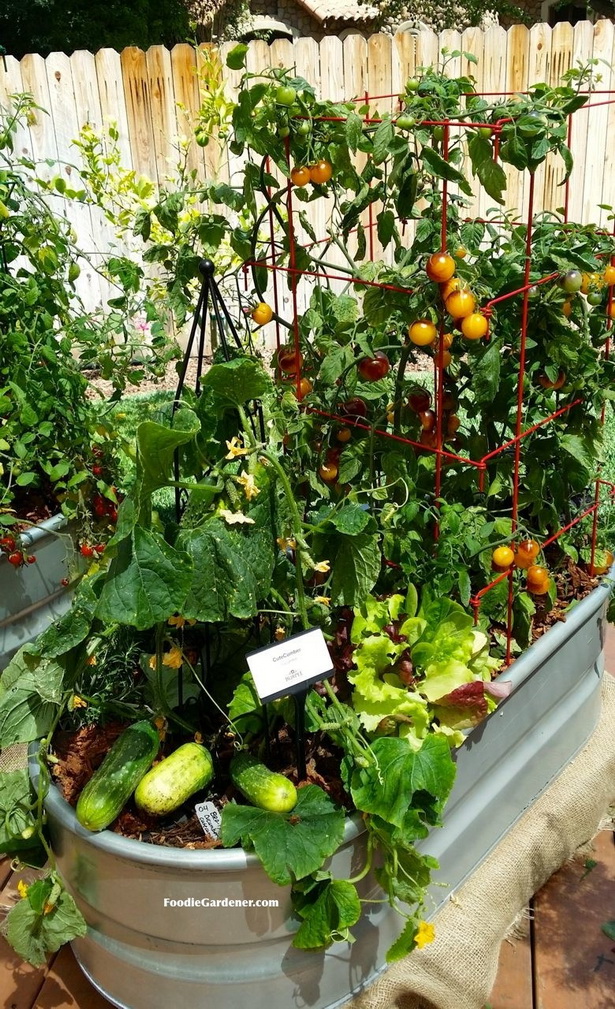 Вътрешен двор зеленчукова градина