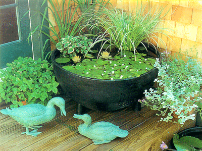 patio-water-garden-72 Вътрешен двор водна градина