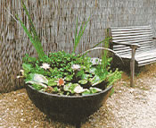 patio-water-garden-72_16 Вътрешен двор водна градина