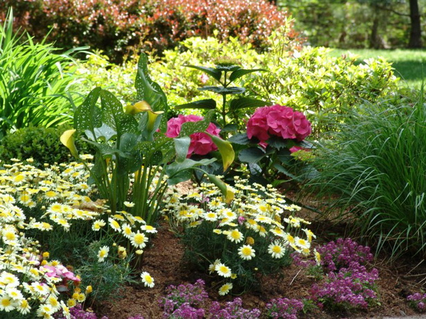 perennial-flower-beds-33_11 Многогодишни цветни лехи