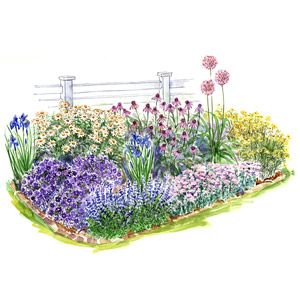 perennial-flower-beds-33_9 Многогодишни цветни лехи