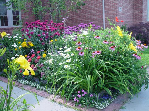 perennial-flower-garden-design-ideas-52_7 Многогодишна цветна градина дизайнерски идеи