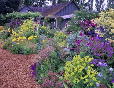 perennial-flower-garden-ideas-12_18 Многогодишна цветна градина идеи