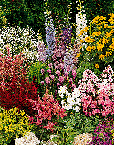 perennial-flower-garden-46 Многогодишна цветна градина