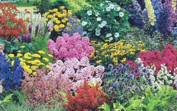 perennial-flower-garden-46_11 Многогодишна цветна градина