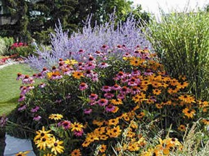 perennial-garden-ideas-65_18 Многогодишни градински идеи