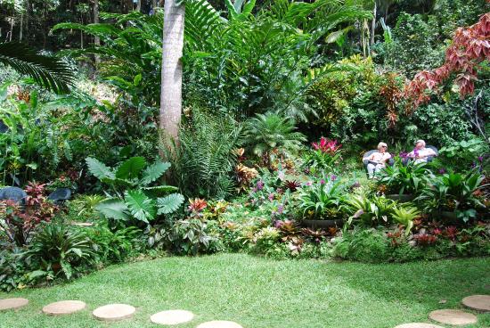 photos-of-tropical-gardens-30_10 Снимки на тропически градини