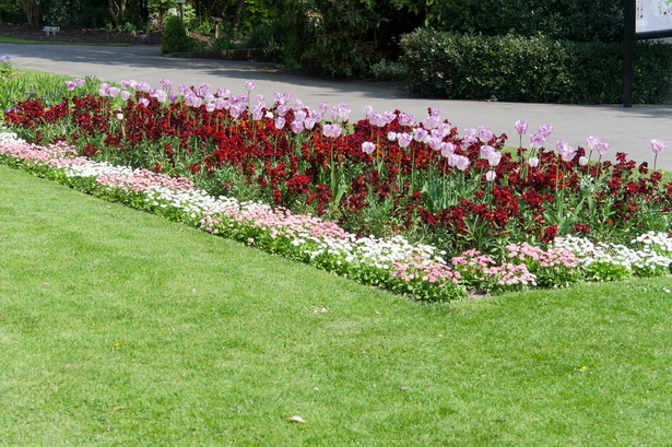 plant-borders-flower-beds-42_3 Растителни граници цветни лехи